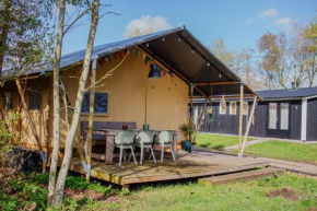 Luxe safaritent op watersportcamping